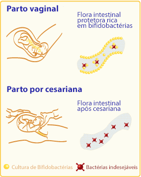 tabela nutricional