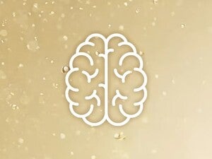 Desenvolvimento cerebral