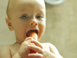 os bebés têm necessidades nutricionais mais importantes