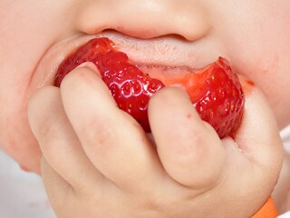 Desmame pelo bebé, a comer fruta