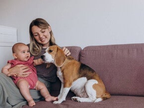Crianças e animais