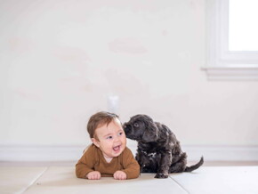 Crianças e animais Crianças e animais