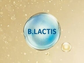 B. lactis