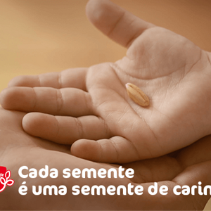 sementes de carinho sementes de carinho