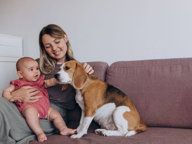 Crianças e animais Crianças e animais