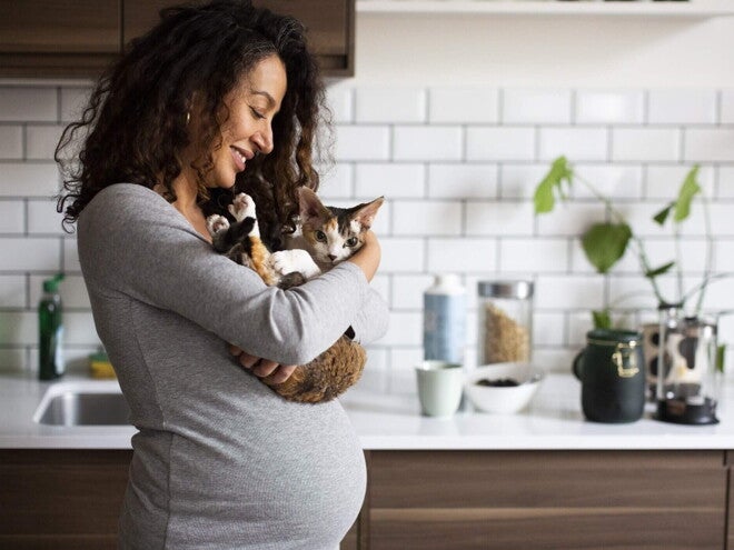 Toxoplasmose na Gravidez: O Que É, Sintomas, Riscos e Como Prevenir Toxoplasmose na Gravidez: O Que É, Sintomas, Riscos e Como Prevenir