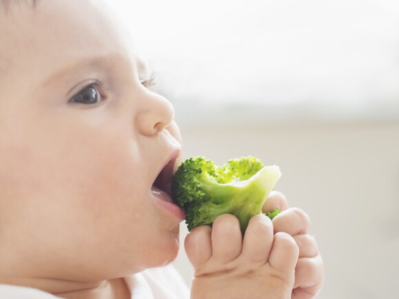 Como ajudar o bebé a adquirir bons hábitos alimentares?