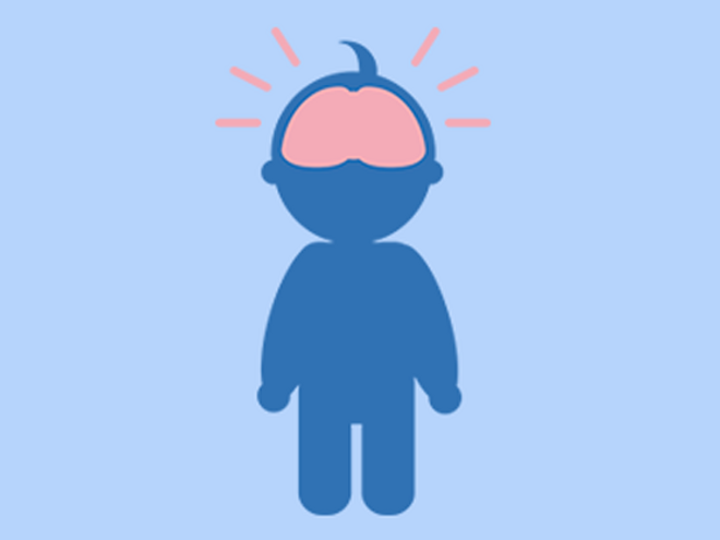 Desenvolvimento cerebral do bebé Desenvolvimento cerebral do bebé