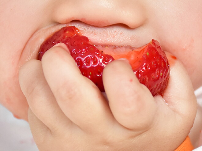 Desmame pelo bebé, a comer fruta Desmame pelo bebé, a comer fruta