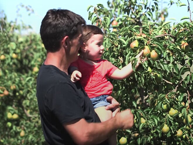 Produtor de Fruta Nestlé