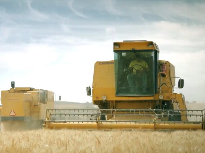 Papas Infantis CERELAC