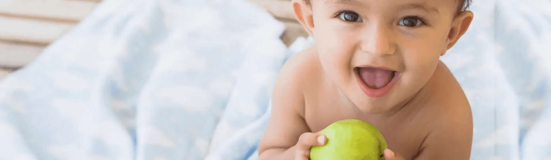 NESTLÉ Saquetas de Fruta com Aveia NESTLÉ Saquetas de Fruta com Aveia