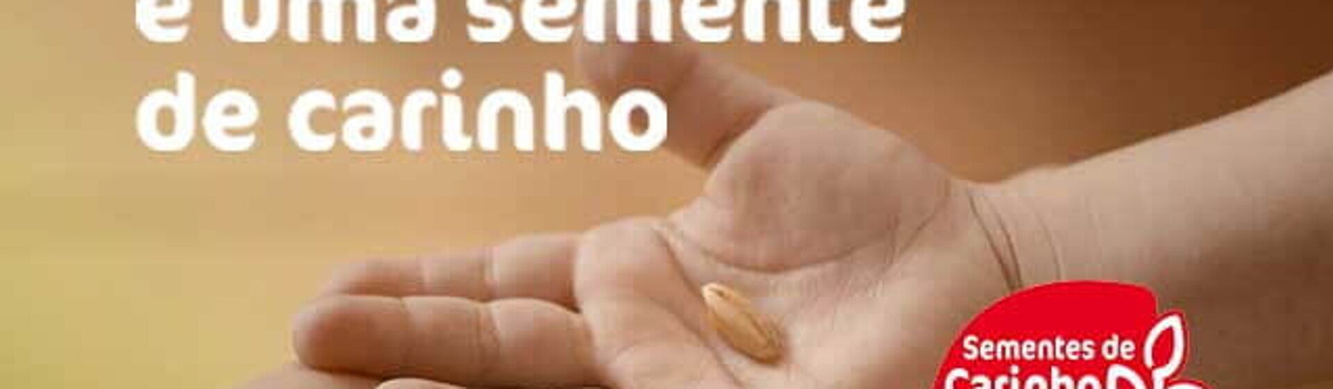 sementes carinho sementes carinho