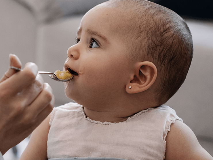 Papas Infantis papas infantis nestlé