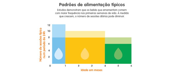 Quadro de alimentação do bebé até 6 meses