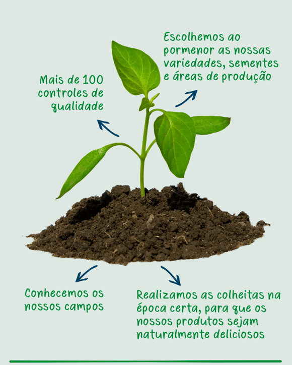 Gerber Gerber